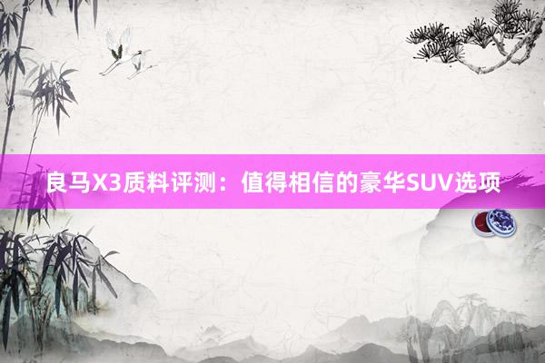 良马X3质料评测：值得相信的豪华SUV选项