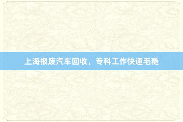 上海报废汽车回收，专科工作快速毛糙