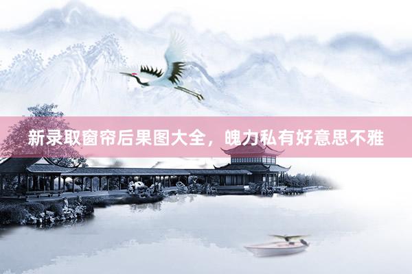 新录取窗帘后果图大全，魄力私有好意思不雅